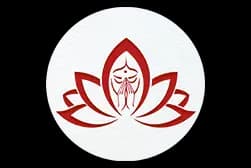 Company logo 2